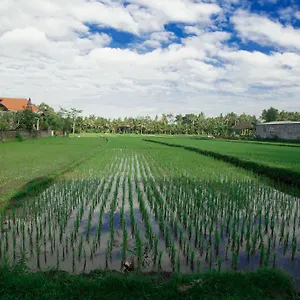canang-sari-house.ubudhotelsnow.com/